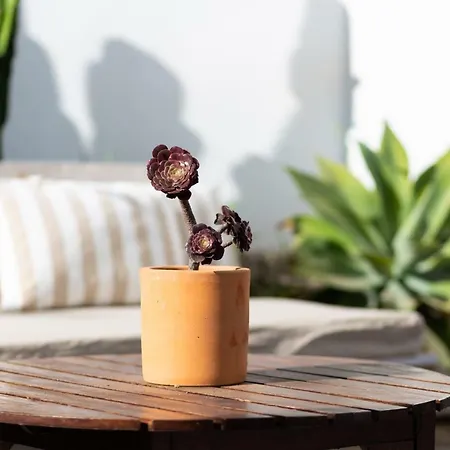 Landhuis Casita 3, Caserio De Guaza Palm-mar