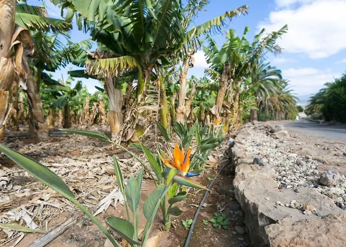 Casita 3, Caserio De Guaza Kır Evi *