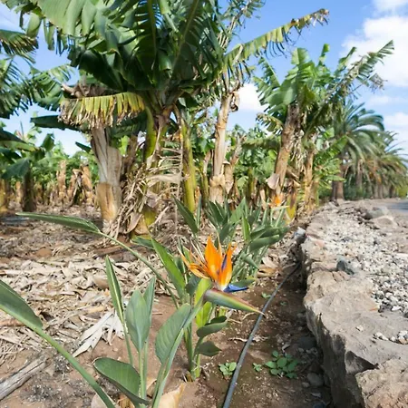 Casita 3, Caserio De Guaza Landhaus *