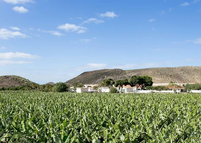 Casita 3, Caserio De Guaza Kır Evi Palm-mar