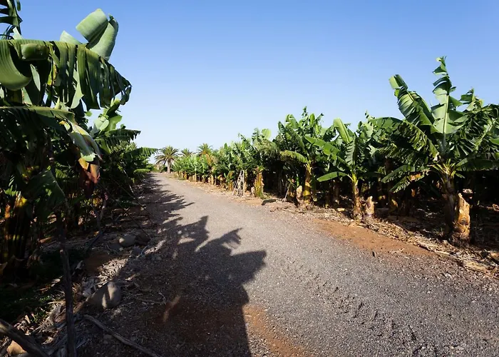 Hétvégi ház Casita 3, Caserio De Guaza *