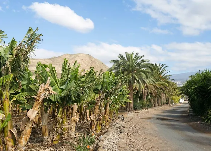 Casita 3, Caserio De Guaza Landsted Palm-mar