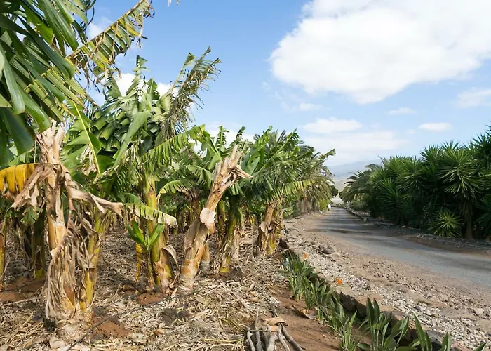 Casita 3, Caserio De Guaza Landsted